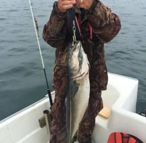 Strandstua Solbakken